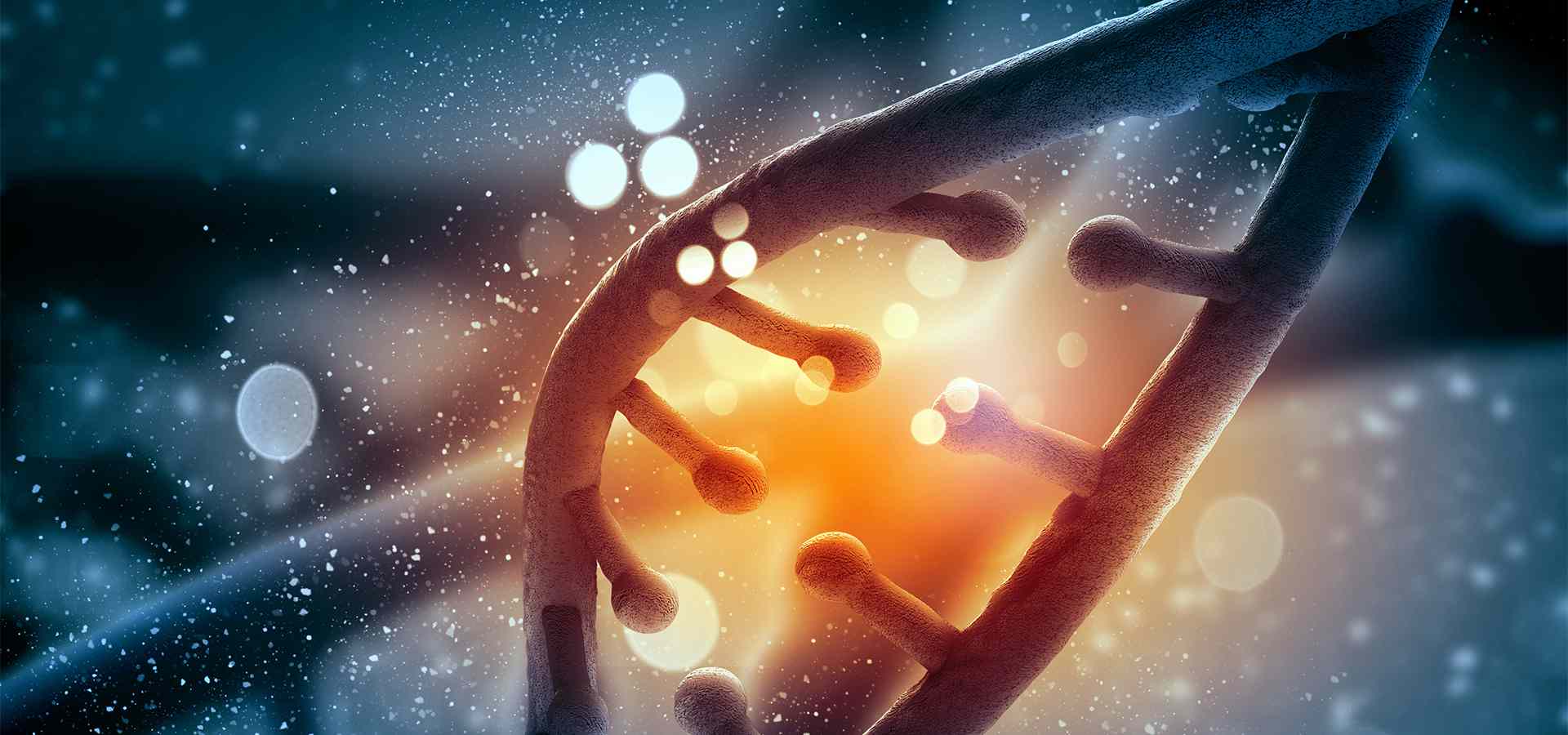 南宁中量国鉴生物