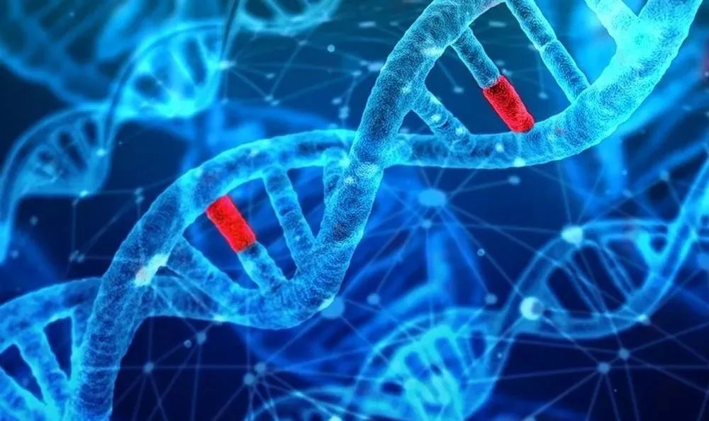 南宁中量国鉴生物